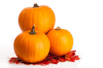 Pumpkins & Leaves