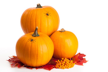 Halloween Pumpkins With Spiders