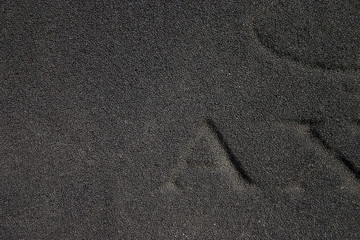 sponge texture