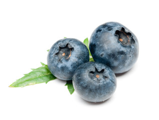Obraz premium Blueberry