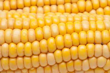 Corns