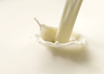 milk