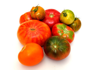 Colorful Tomatoes