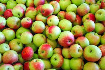 Green And Red Apples