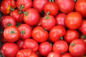 Background of tomato