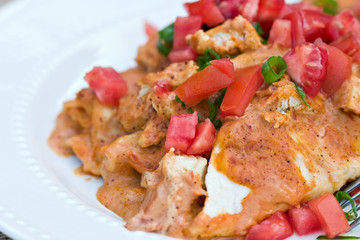 Chicken Enchiladas with tomatoes and green onions.