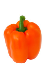 Orange pepper on white background