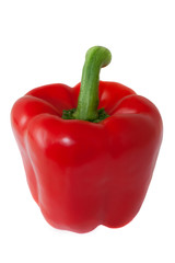 Red pepper on white background