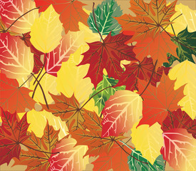 bright fall foliage background