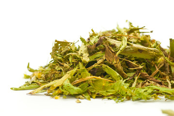 Feuilles de Stevia Rebaudiana Bertoni- édulcorant naturel