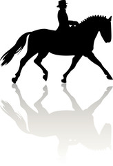 Horse silhouette on white background