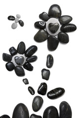 Flores de Piedra