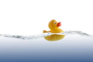 Cute Rubber Duckling - 17105221