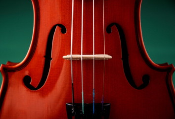Violin Detail