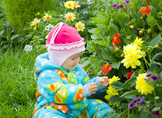 baby considers flower.