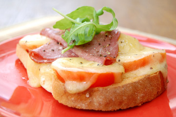 Melted cheese sandwich