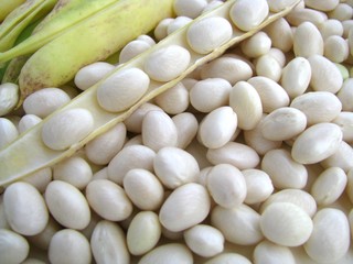 haricots