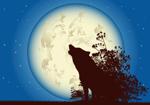 Wolf moon