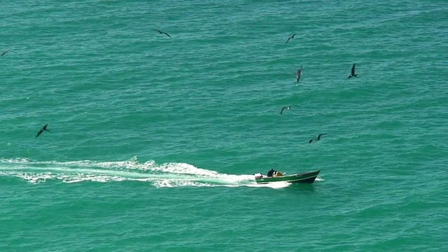 Retour de p&ecirc;che aux antilles.