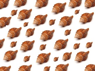 sea shells background