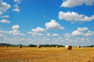 Golden field with hay bales against a picturesque cloudy sky