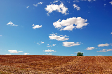 Empty harvested field under cloudy blue sky
