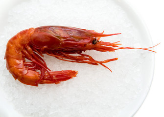 shrimp on a platter with ice