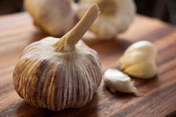 Large purple garlic bulb