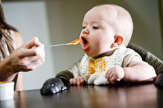 Six Month Old Baby Eating Solid Food