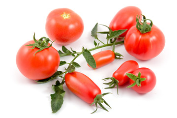 Red tomatos