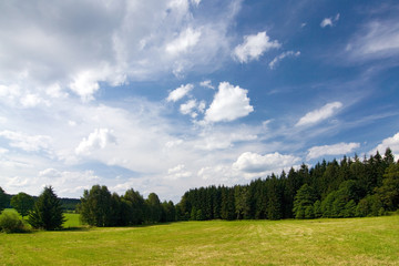 Blue sky - forest - meadow - summer countryside