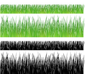 Grass - vector illustration