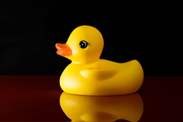 badeente 3