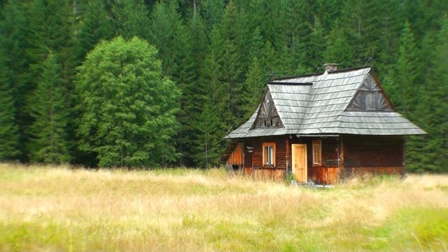 Old wooden house in the middle of mountain forrest