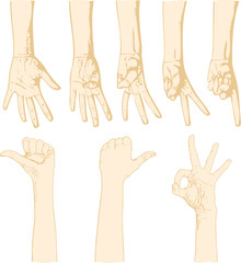 Vector set of gesturing hands