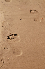 Fototapeta na wymiar Footsteps on sand