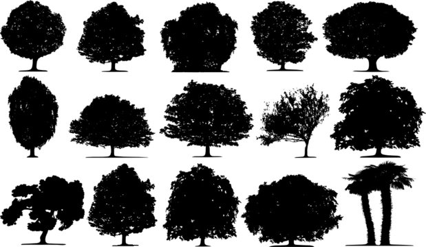 Trees vector on white background