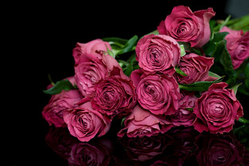 Violet roses
