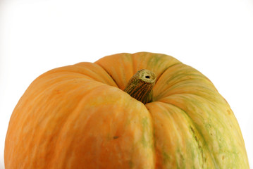 pumpkin 5