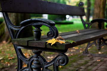 Park bench in autumn