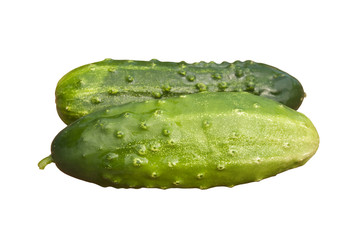 Cucumbers