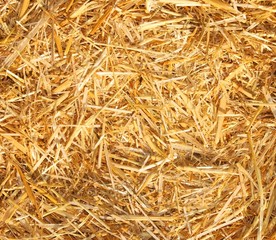 Hay, Straw