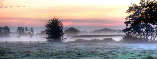 Morgennebel