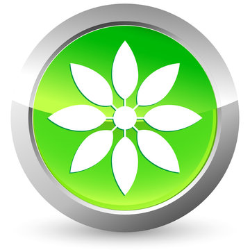 Blume