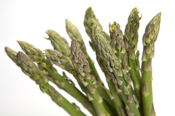 Asparagus on White  Background