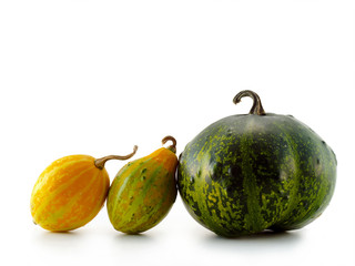 Pumpkins isolated over white background