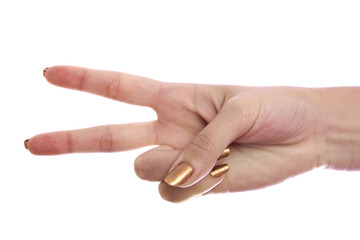 Hand isolated on a white background. 2