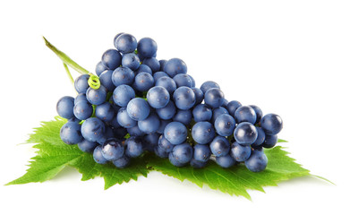 blue grape with green leaves isolated fruit