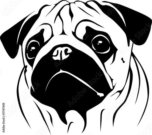 Download "Portrait Pug 02" Stock image and royalty-free vector ...