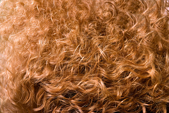 Readhead
